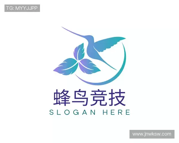 发现蜂鸟竞技